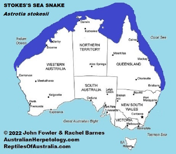 Approximate distribution of the SPECTACLED SEA SNAKE (Astrotia  stokesii) in Australia